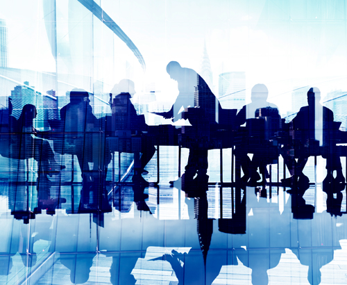 Harness the Power of Your Board by Diversifying Your Directors